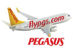Pegasus Honeywell ile güçleniyor